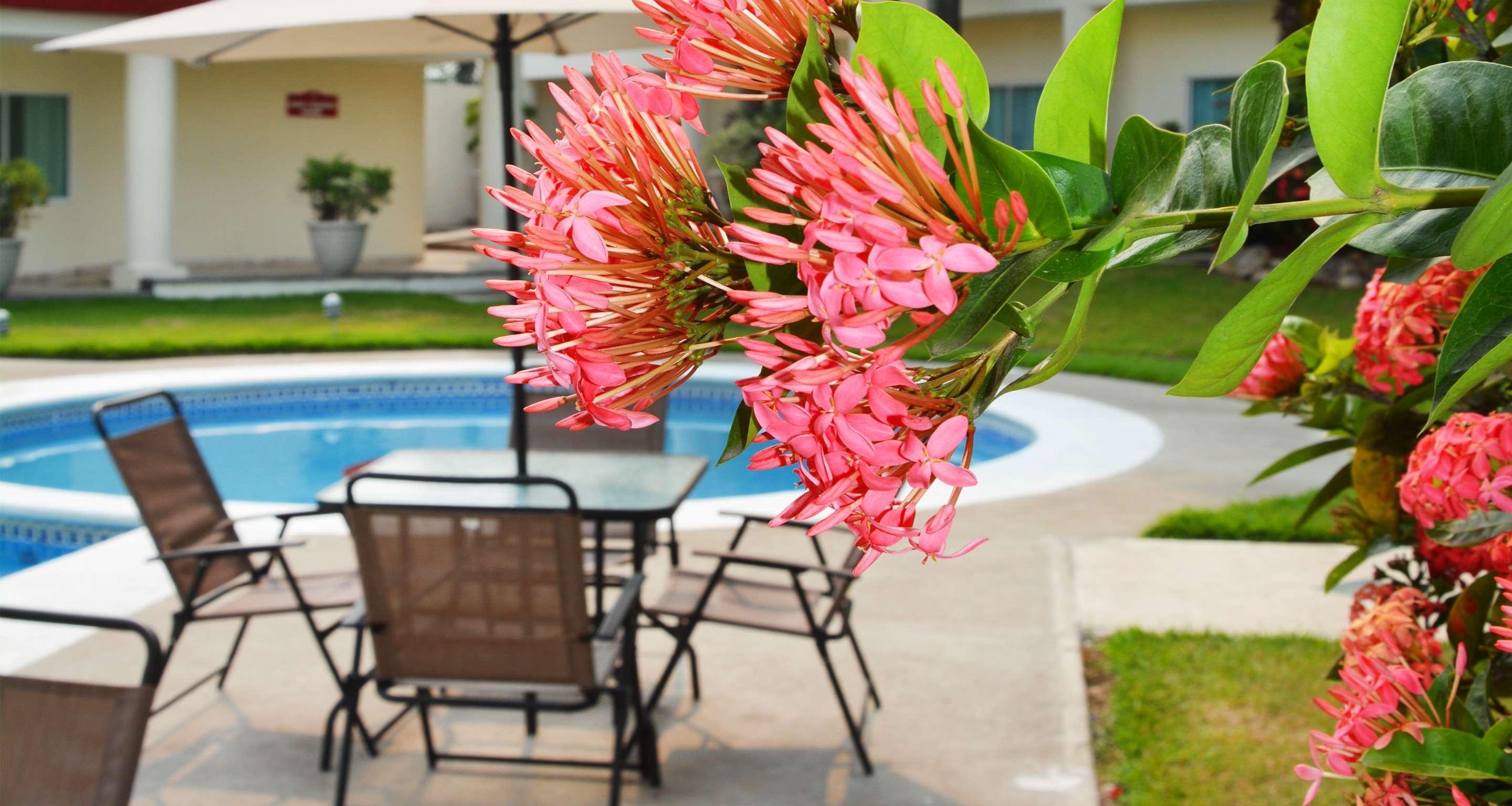Gran Tuxtepec Plaza Hotell Eksteriør bilde
